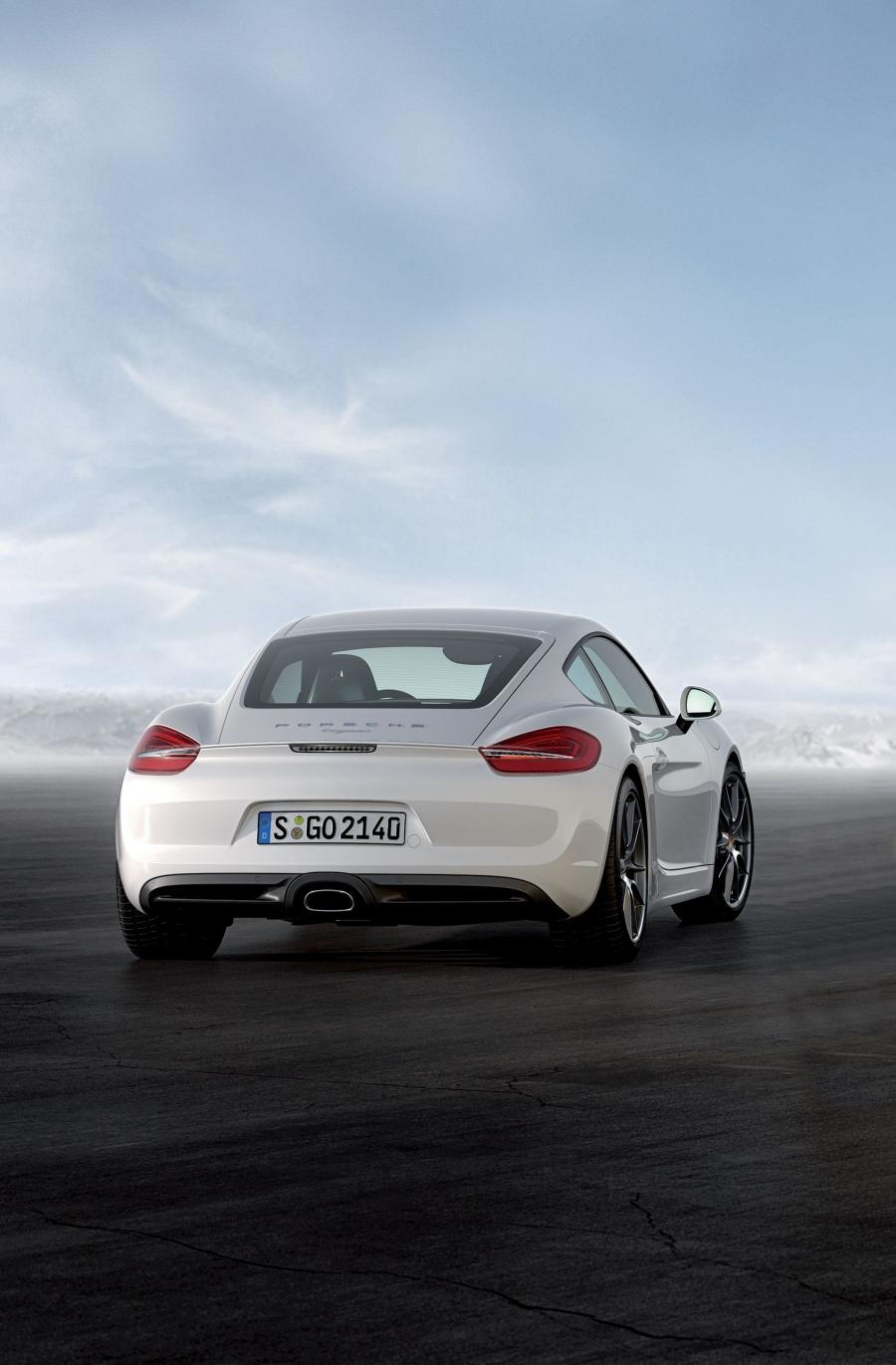  Porsche Cayman 2013 года  (фото 2 из 6)